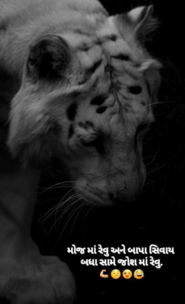 એટીટ્યુડ શાયરી ગુજરાતી | Attitude Shayari in Gujarati