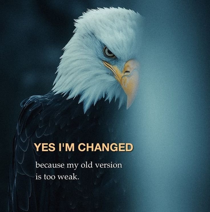 You are currently viewing 1039+ Attitude Captions for Instagram – (Boys & Girls)